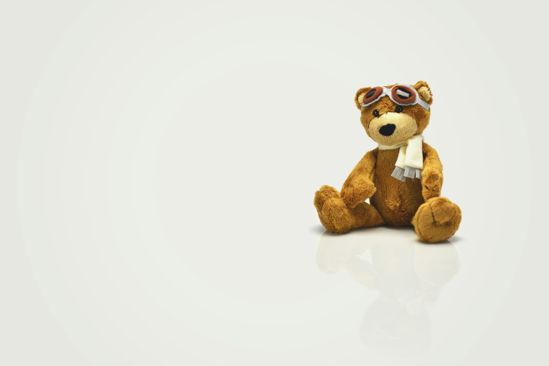 The £2,000 Teddy Found at Bristol Airport
