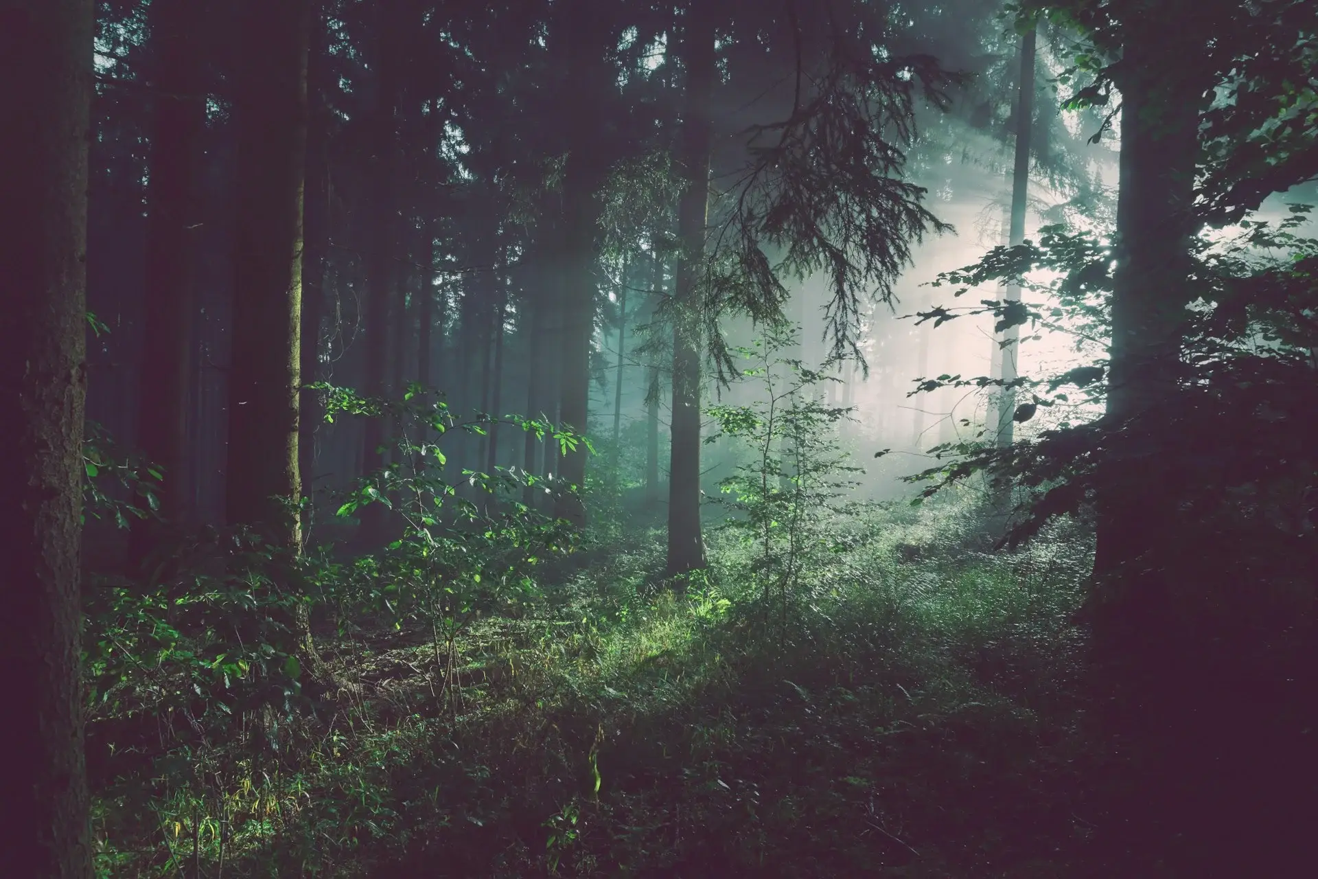 The best nature sounds to listen to if you’re a nervous flyer